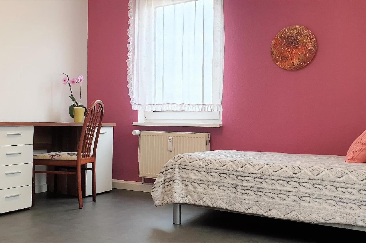 Apartment Bayreuth, Grosse Ferienwohnung Im Haus Mit Kunst, 3 Schlafzimmer, Kueche, Parkplatz Exterior photo